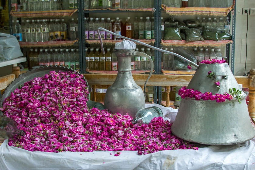 گلاب گیری